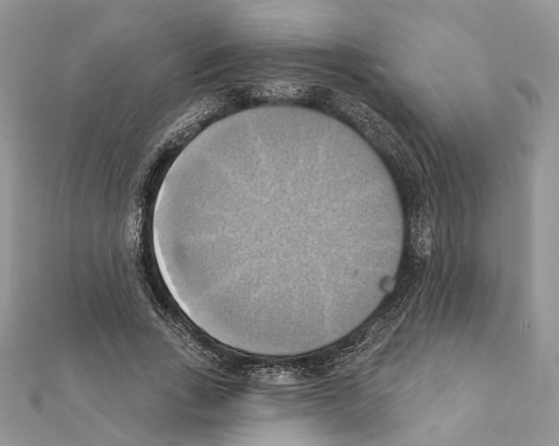 X0000111360735200908211256