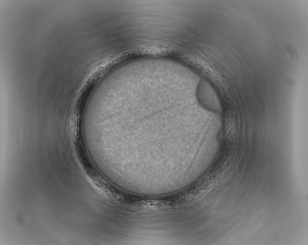 X0000111360736200908211256