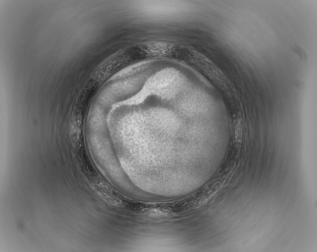 X0000111360737200908211256