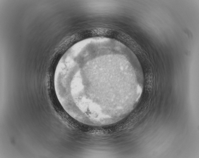 X0000111360738200908211256