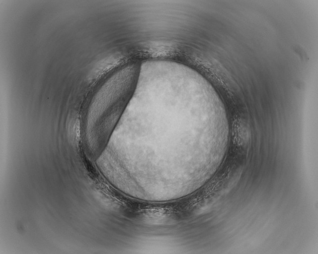 X0000111360740200908211257