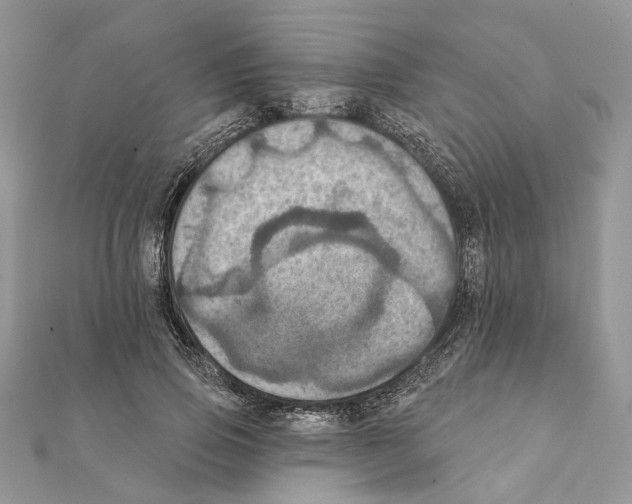 X0000111360741200908211257