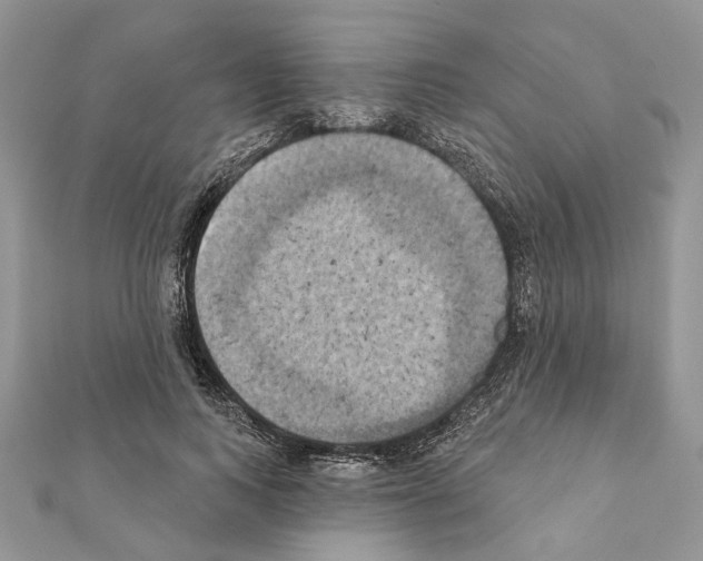 X0000111360743200908211257