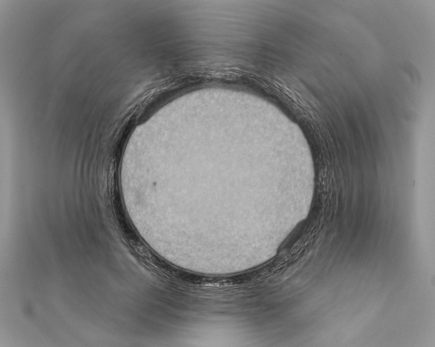 X0000111360744200908211257