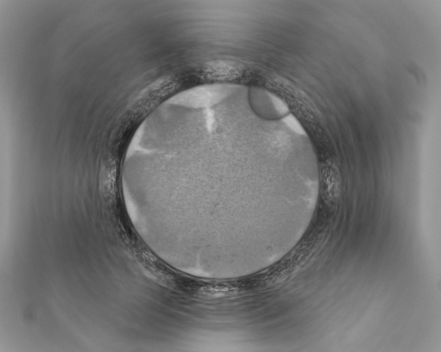 X0000111360745200908211257