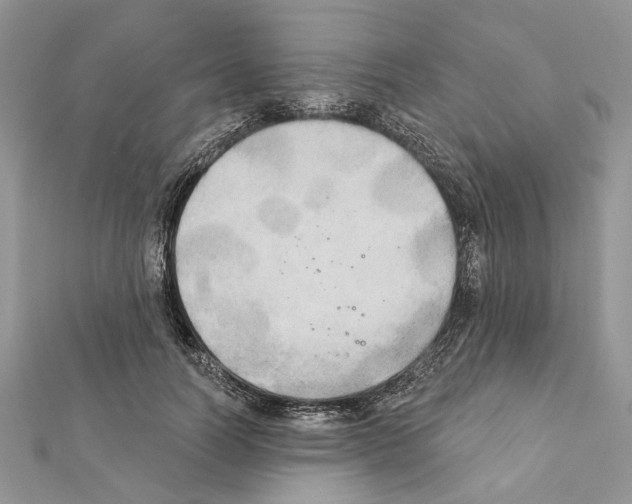 X0000111360746200908211257