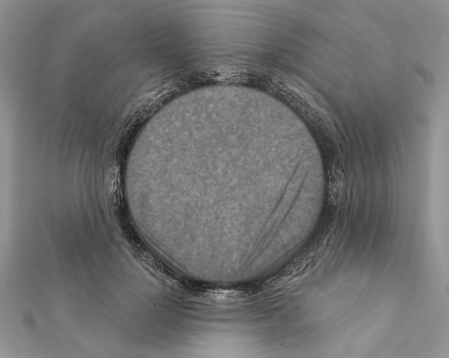 X0000111360748200908211257