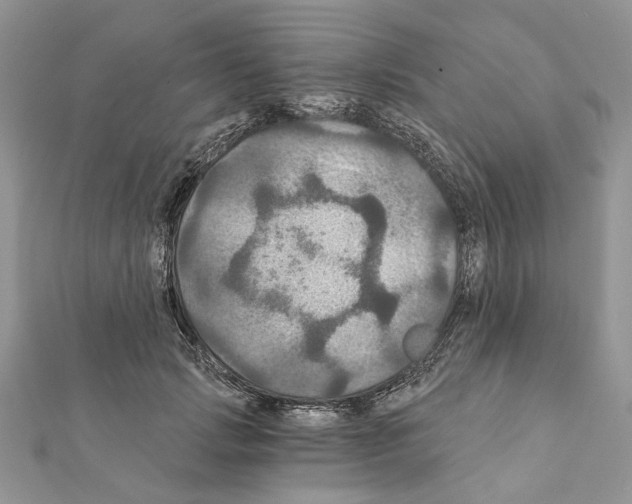 X0000111360749200908211257