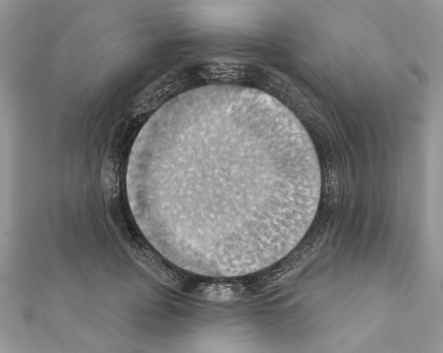 X0000111360751200908211257