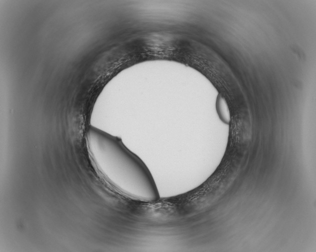 X0000111360752200908211257