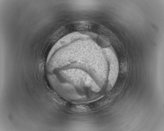 X0000111360753200908211257