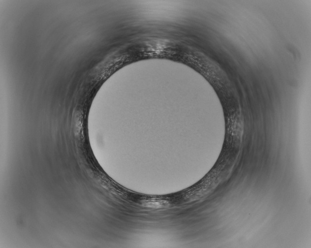 X0000111360754200908211257