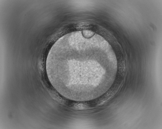 X0000111360755200908211257