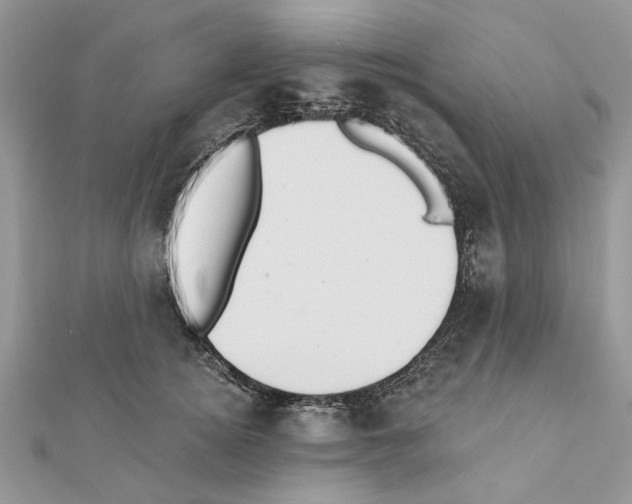 X0000111360756200908211257