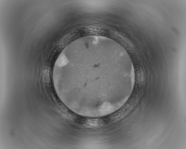 X0000111360757200908211257