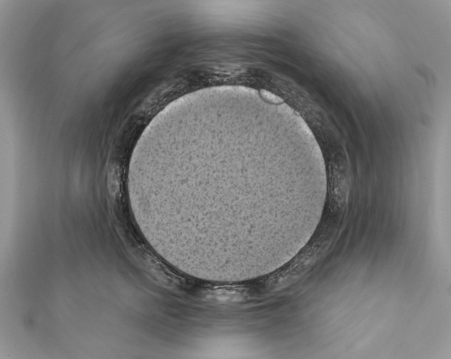 X0000111360758200908211257