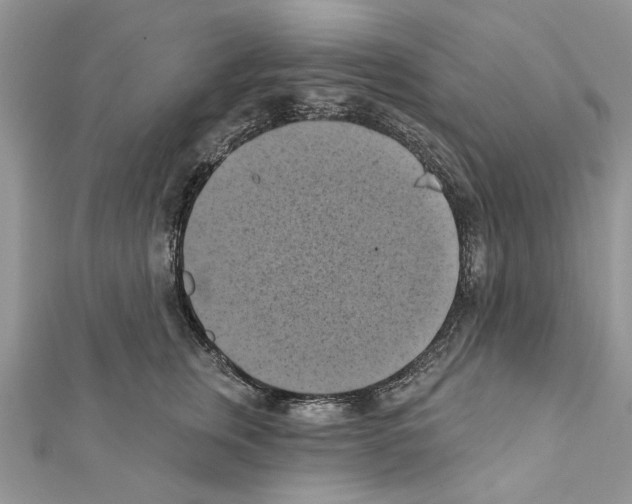 X0000111360759200908211257