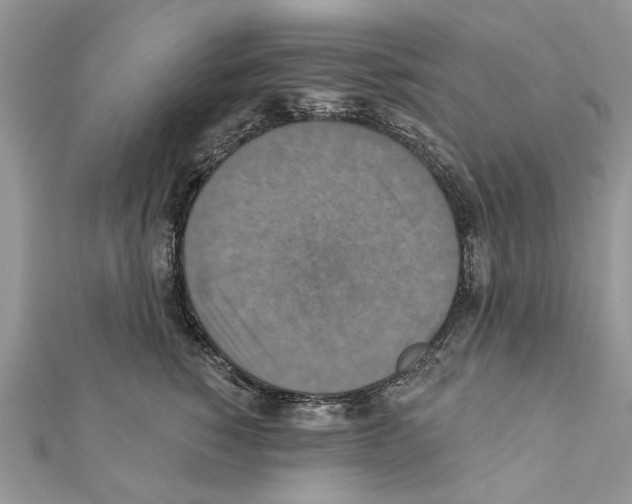 X0000111360760200908211257
