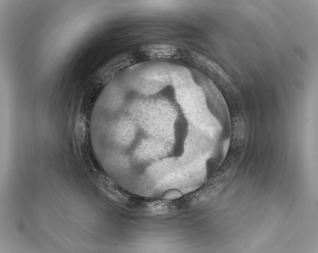 X0000111360761200908211257