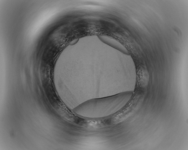 X0000111360762200908211257