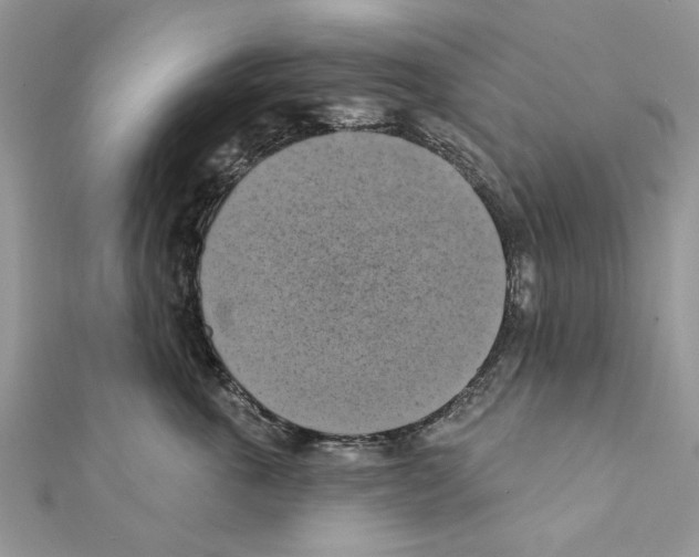 X0000111360763200908211257