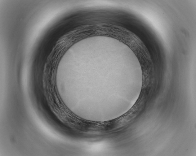 X0000111360765200908211257