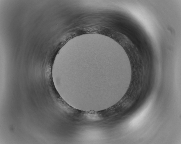 X0000111360767200908211257