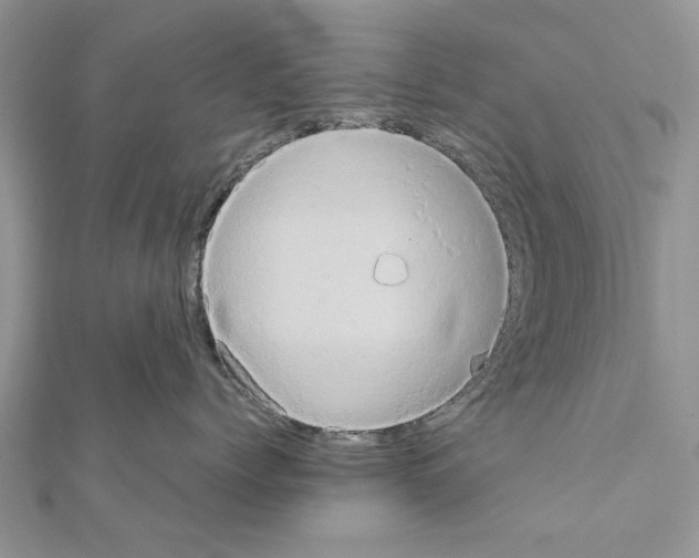 X0000111360768200908211257