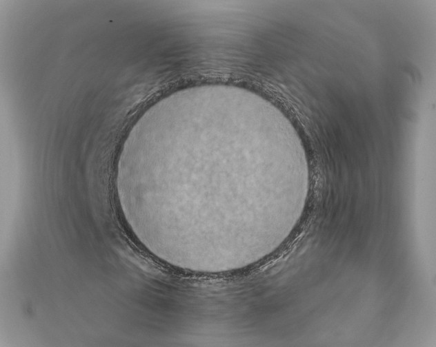 X0000111360769200908211256