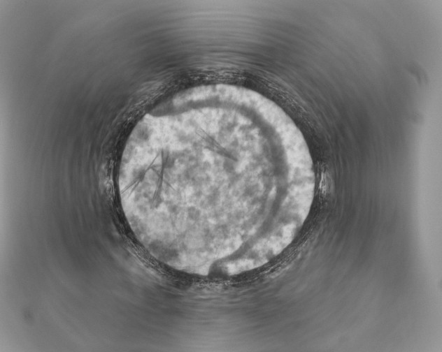 X0000111360771200908211256