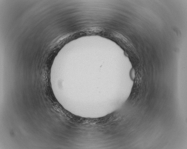 X0000111360773200908211256