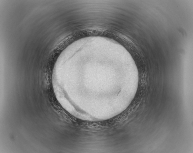 X0000111360774200908211256
