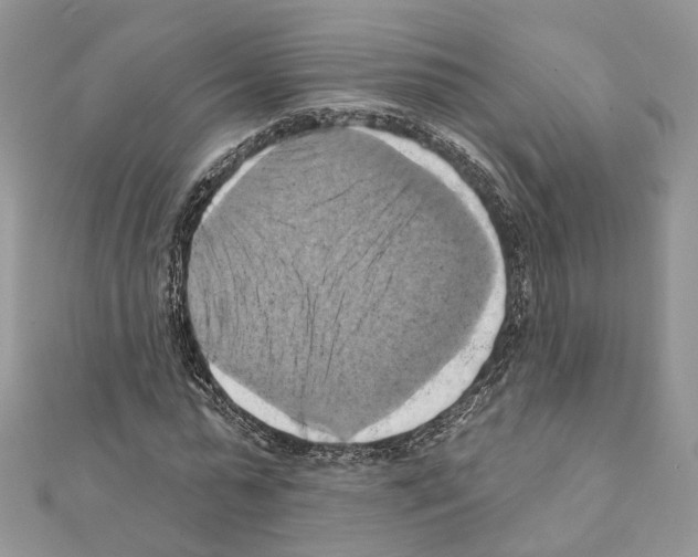 X0000111360775200908211256