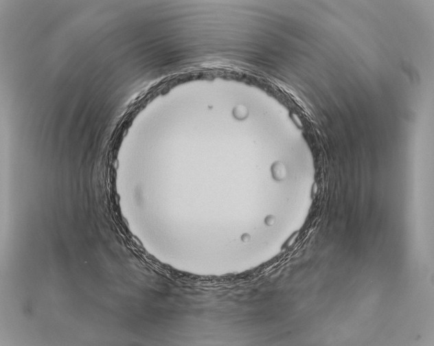 X0000111360776200908211256