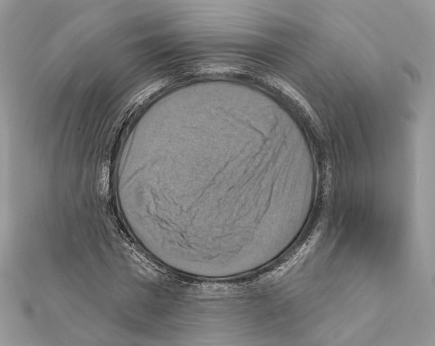 X0000111360777200908211256