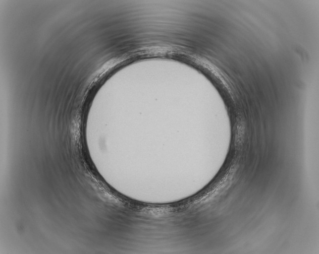 X0000111360778200908211256
