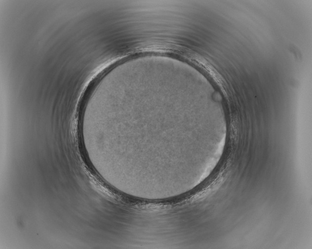 X0000111360779200908211256