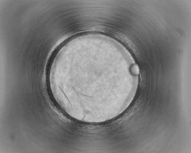 X0000111360780200908211256