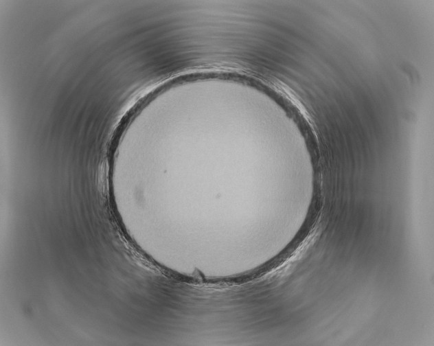 X0000111360781200908211256