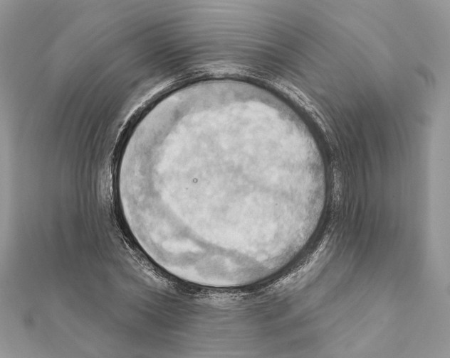 X0000111360782200908211256