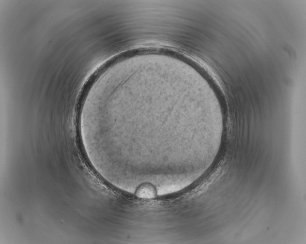 X0000111360783200908211256