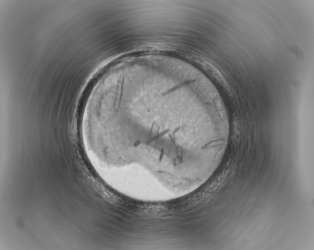 X0000111360784200908211256