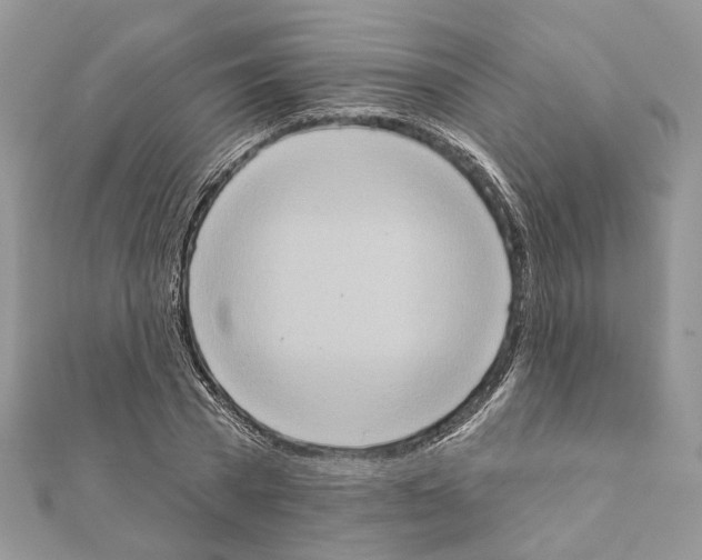 X0000111360785200908211256