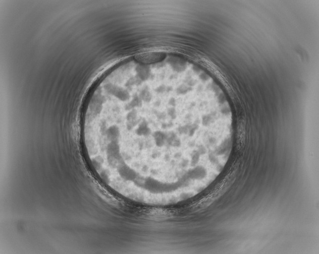 X0000111360787200908211256