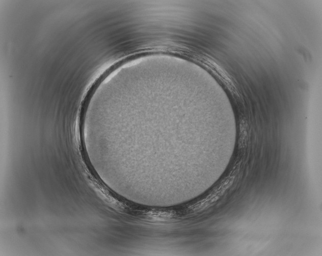 X0000111360788200908211256