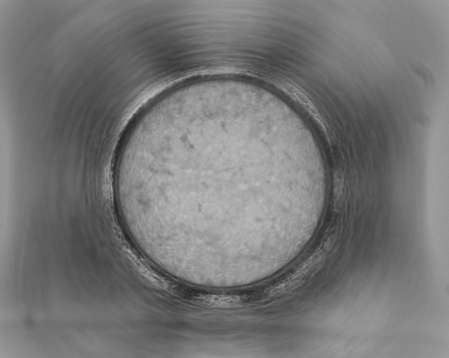 X0000111360789200908211256