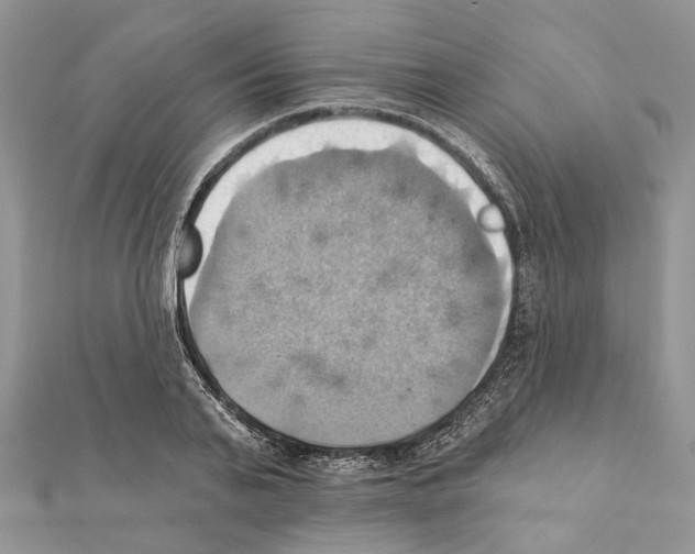 X0000111360791200908211256