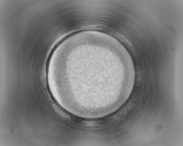 X0000111360792200908211256