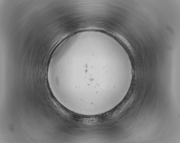 X0000111360793200908211256