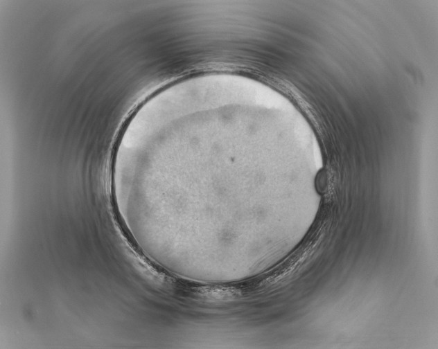 X0000111360795200908211256